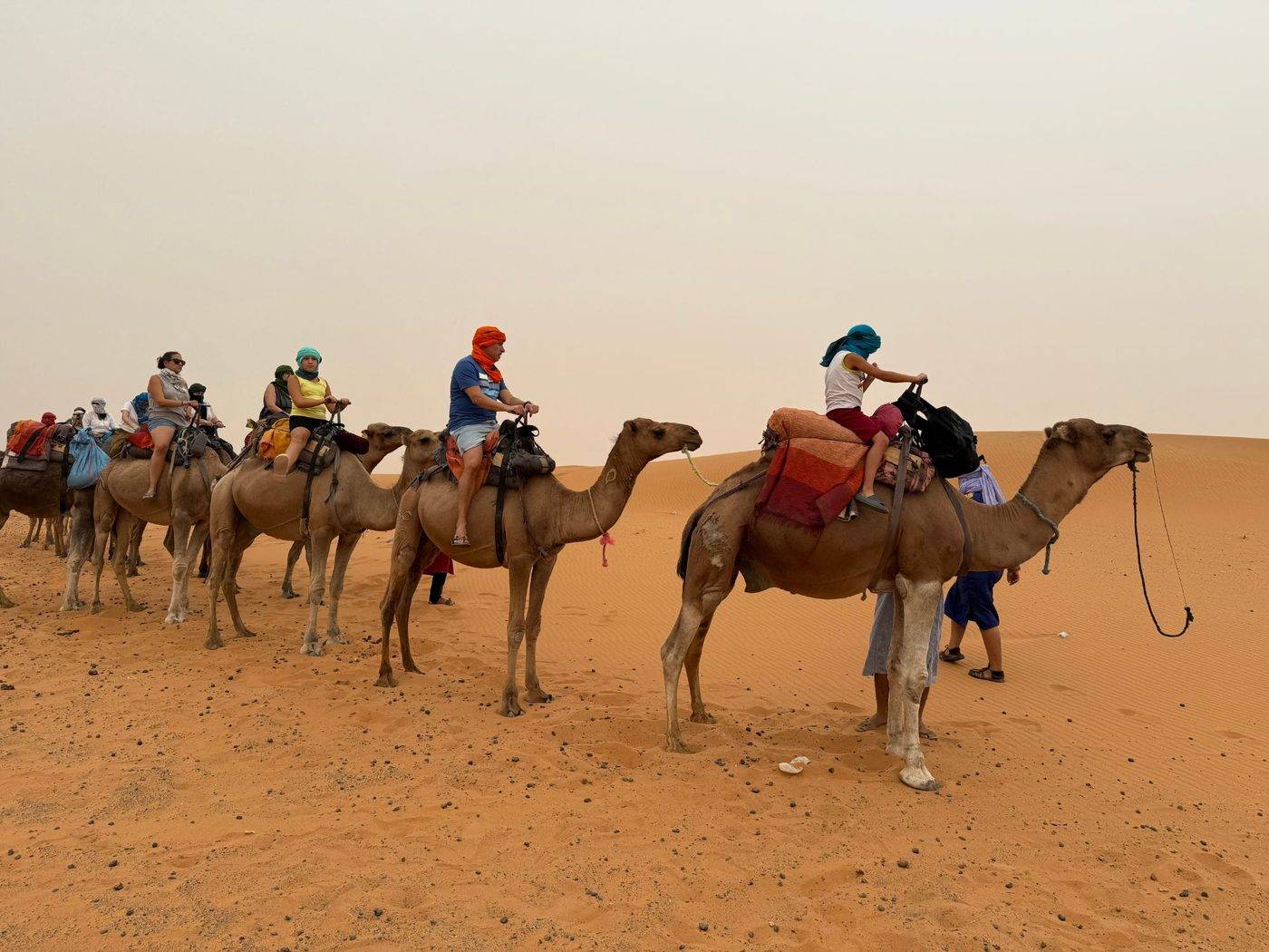 Camel caravan in Erg Chebbi