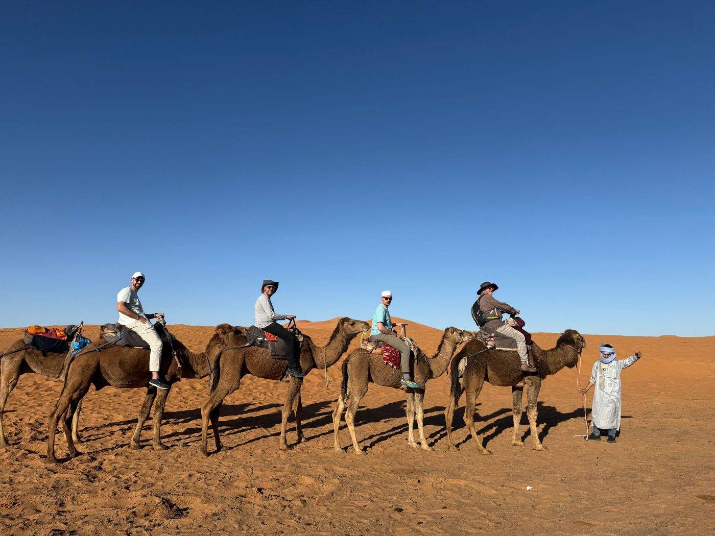Guests on a camel trek in the dunes of Merzouga