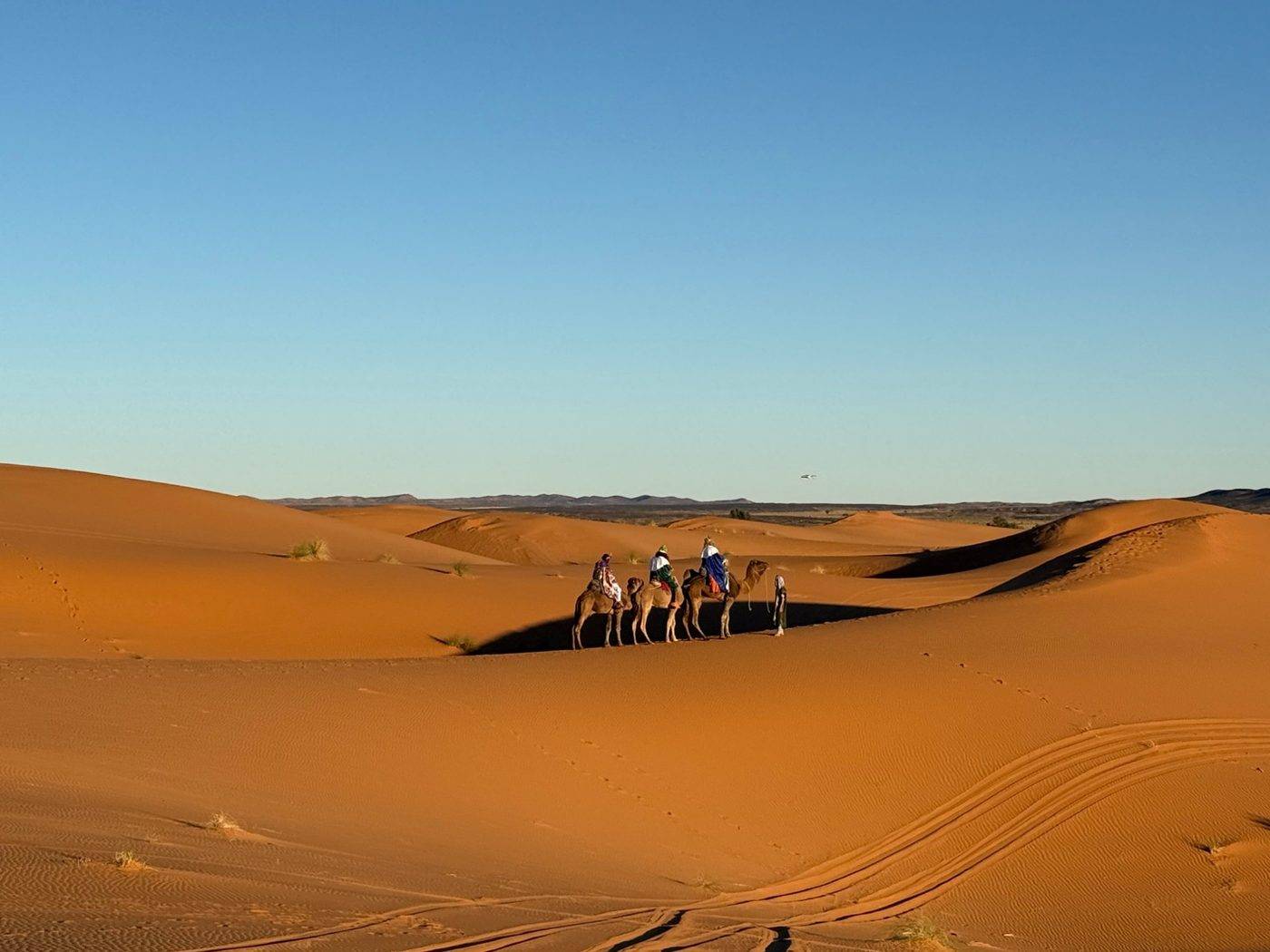 Camel ride across Erg Chebbi